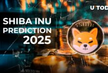 پیش بینی قیمت شیبا اینو (SHIB) 2025