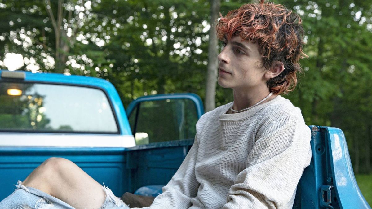 Prime Video در حال از دست دادن بهترین فیلم Timothée Chalamet است که شما تماشا نکرده اید - یک فیلم Thriller Dark Dark Thriller Timothée Chalamet as Lee in "Bones and All"