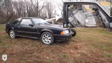 شفابخشی معجزه آسا از این کبرا Mustang SVT پر از موش را تماشا کنید