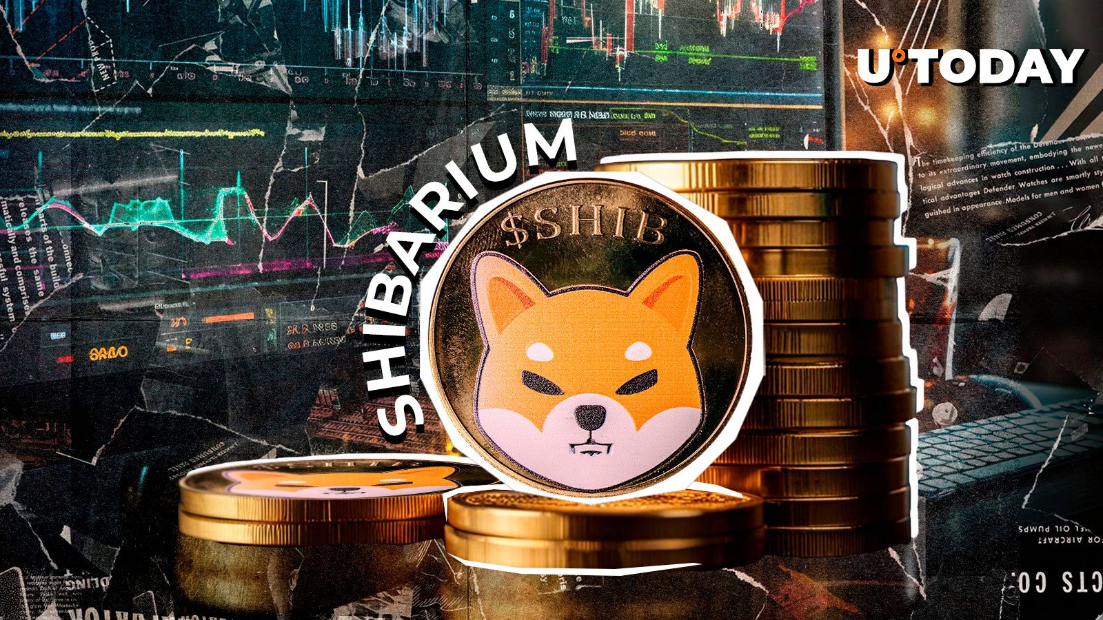 Shiba Inu Developer مهم شیبریوم توضیحات: جزئیات Shiba Inu Developer مهم شیبریوم توضیحات: جزئیات