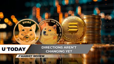 3 سطح پشتیبانی Dogecoin (Doge) ، آزمایشات شفابخش جامد Shiba (Shib) ، تجمع نهنگ پنهان Solana (سمت چپ)