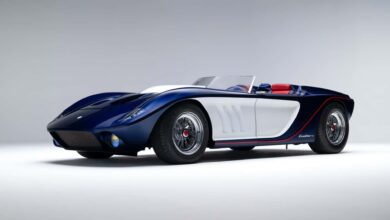 شما فرصتی برای خرید این Roadster عالی دارید