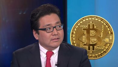 بیت کوین تام لی را پیش بینی می کند که در سال 2025 عملکرد بهتری از طلا داشته باشد