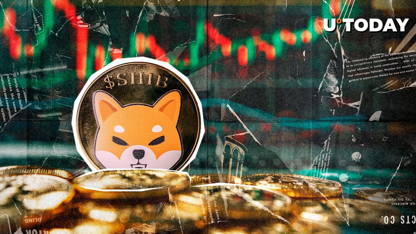 15.566،450 Shib: چه اتفاقی افتاد؟ 15.566،450 Shib: چه اتفاقی افتاد؟