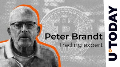 بیت کوین (BTC) با کاهش وحشیانه مقابله می کند ، بازرگان افسانه ای پیتر برانت را تأیید می کند