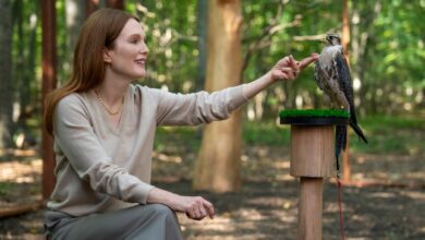 Netflix ، Julianne Moore ، Kevin Bacon and Meghann Fahy با یک سریال کمدی تاریک جدید مسخره شده – در اینجا اولین دیدگاه شماست