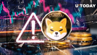 هشدار Shib: تیم Shiba Inu پیام مهمی را برای جامعه Shib به جا گذاشت