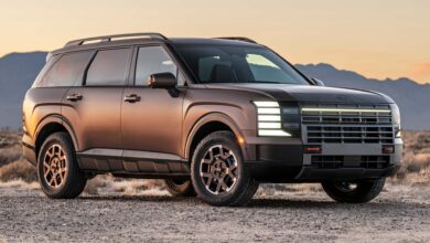 Hyundai Palisade برای پیاده روی در مرکز خرید ، از جاده خارج می شود