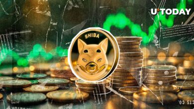 548،000،000،000،000 Shiba Inu (Shib) سطح: چه چیزی را باید انتظار داشت؟