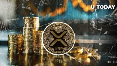 بخش XRP Bolsinger Band Seaminging