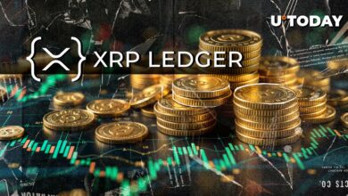 آیا کیف پول XRP ایمن است؟ بهترین مشکلات اجرایی موج دار “هشدار انتقادی”