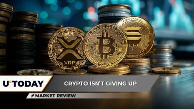 XRP: یک جنگ دیگر ، بیت کوین (BTC) توقف بعدی 94،000 دلار ، Solana (سمت چپ) راهپیمایی کوتاه مدت تأیید شده