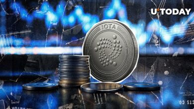 IOTA 5 مه 2025 را به عنوان تاریخ تاریخ تنظیم می کند: چه انتظاری دارید؟