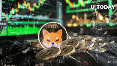چشم های Shiba Inu به رهبری بیت کوین