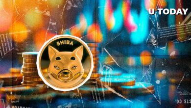 skyrokets Shiba inu (Shib) 11 ٪ ، اما تهدید به مرگ پدیدار می شود