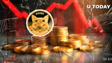 اصلاح عمده Shiba Inu (Shib): آیا قیمت تمام درآمد را از دست می دهد؟
