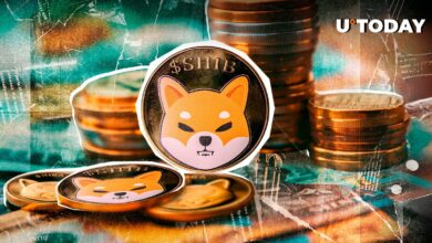 668،980.000،000 Shiba Inu (Shib) از کیف پول های بزرگ جدا شده و این در واقع افزایش می یابد