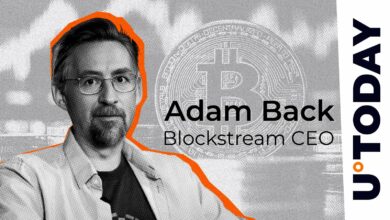 قیمت بیت کوین: 1 میلیون دلار از 500000 دلار در سال 2025 – Man Influencer Back