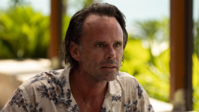 7 بهترین نمایش Walton Goggins هم اکنون منتشر می شود
