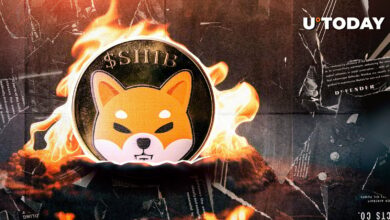 27.204.090 Shiba Inu (Shib) ساعت ها گردش را ترک می کند