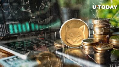 21،000،000،000،000 پشتیبانی Shiba Inu (Shib) متولد شد: چه خبر است؟