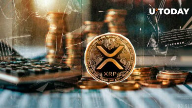 XRP چشم 50 ٪ پارگی و از نظر فنی بیت کوین و نصب 2024