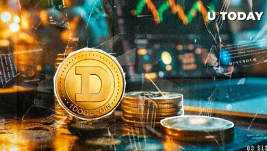 58 ٪ Dogecoin (DOGE) تجارت “Dogeday”