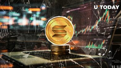 بنیانگذار Solana با کنترل واقعیت به Sol Bulls برخورد می کند