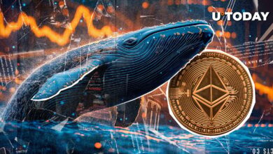 تجمع نهنگ Ethereum (ETH) تعجب آور آغاز شده است: جزئیات