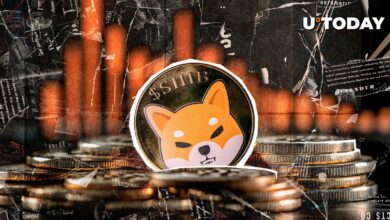 11 تریلیون شیب و سپس 15 تریلیون: Shiba Inu در دام عظیم