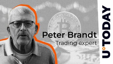 بازرگان افسانه ای پیتر برانت را فاش می کند “I Long Bitcoin (BTC)”