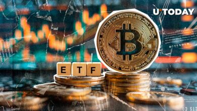 912.7 میلیون دلار: Bitcoin ETF ، با کسب بزرگترین ورودی های روزانه از BTC Ath در ژانویه