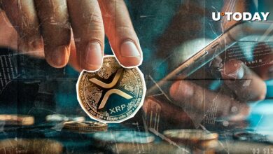 از XRP به بالاترین سطح تمام دوران؟ بهترین مشکلات معامله گر به روزرسانی قیمت Taurus