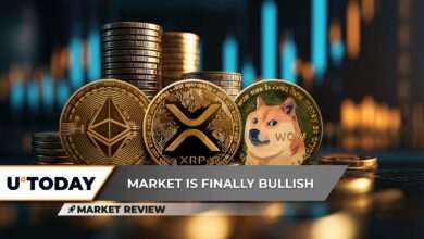 Ethereum (ETH): پیشرفت کلیدی ، امید جدید؟ XRP: این بیش از 2.2 دلار تضمین شده است ، آیا Rogecoin (Doge) Bull Run بالاخره شروع می شود؟